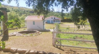 Terrain à Oliveira do Hospital e São Paio de Gramaços de 2 800 m²