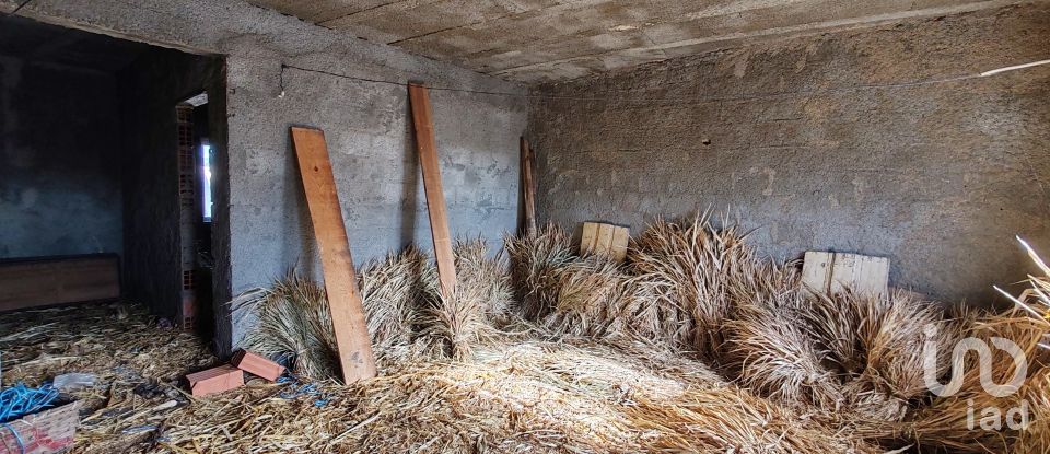 Gîte T0 à Montes da Senhora de 140 m²