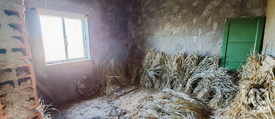 Gîte T0 à Montes da Senhora de 140 m²