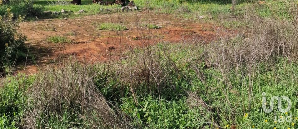 Demeure T0 à Salir de 125 m²