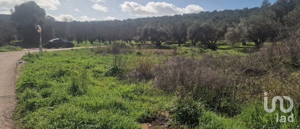 Demeure T0 à Salir de 125 m²