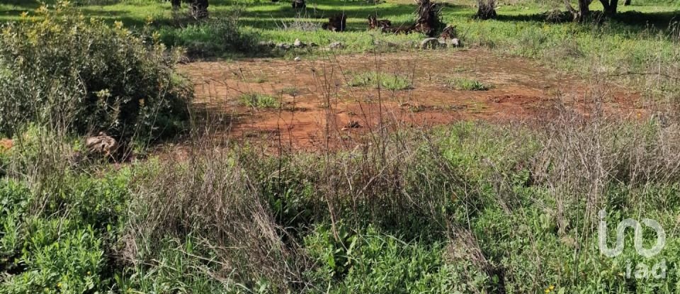 Demeure T0 à Salir de 125 m²