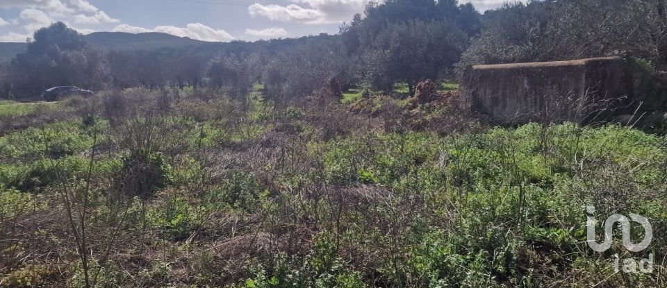 Demeure T0 à Salir de 125 m²