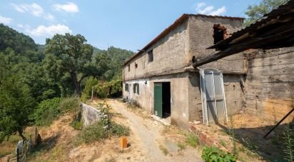 House T0 in Alvares of 477 m²