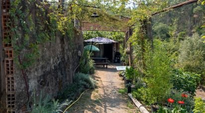 House T0 in Alvares of 477 m²