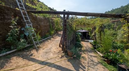 House T0 in Alvares of 477 m²