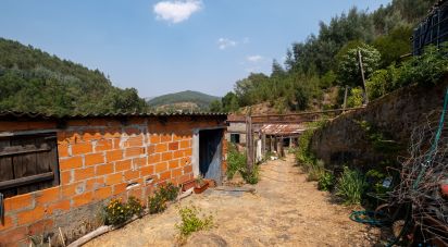 House T0 in Alvares of 477 m²