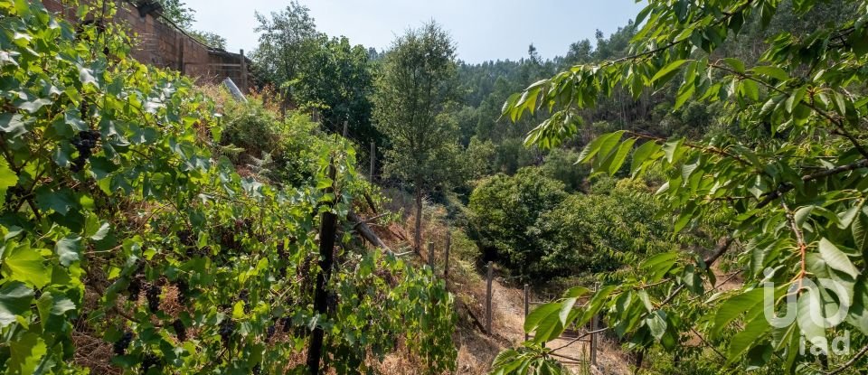 House T0 in Alvares of 477 m²