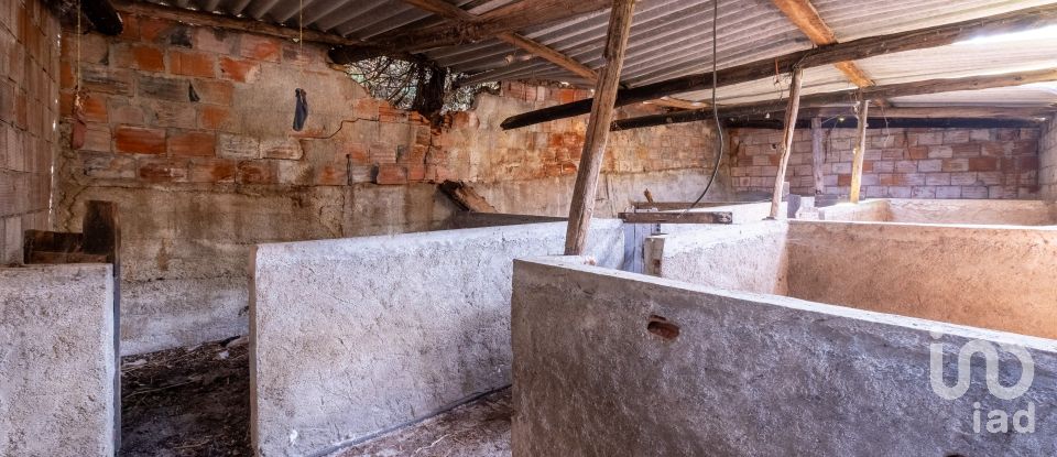 House T0 in Alvares of 477 m²