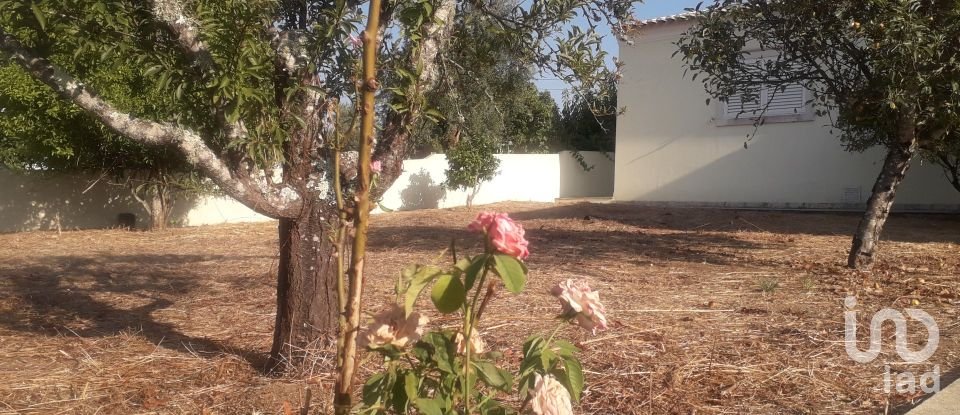 Moradia T3 em Aldeia do Mato e Souto de 330 m²