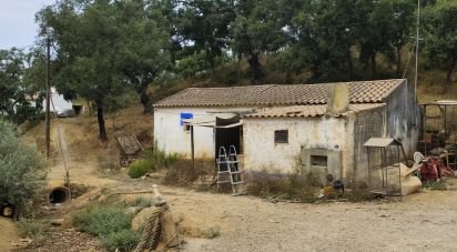 Maison rustique T1 à Relíquias de 47 m²