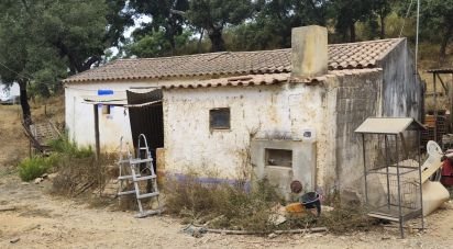 Maison rustique T1 à Relíquias de 47 m²