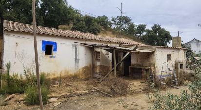 Maison rustique T1 à Relíquias de 47 m²