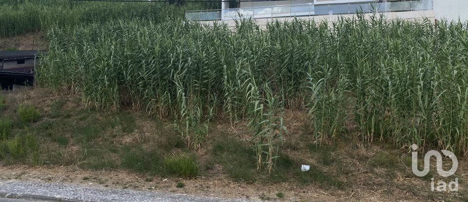 Terrain à bâtir à Nossa Senhora da Piedade de 420 m²