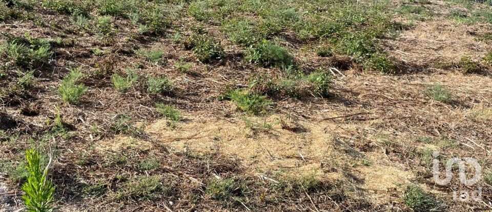 Terrain à Antas de 582 m²