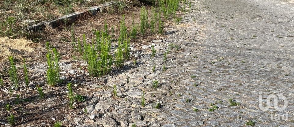 Terrain à Antas de 582 m²