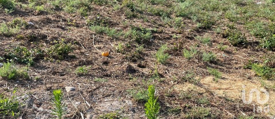 Terrain à Antas de 582 m²