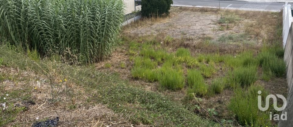 Terreno urbano em Nossa Senhora da Piedade de 400 m²