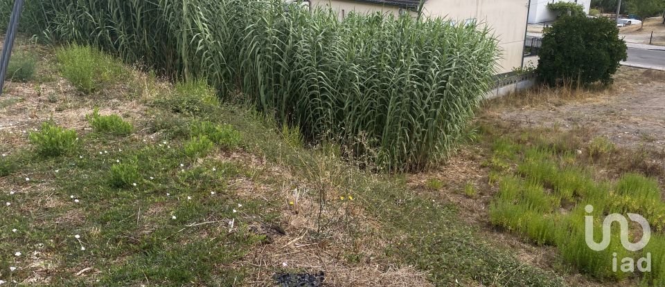 Terreno urbano em Nossa Senhora da Piedade de 400 m²