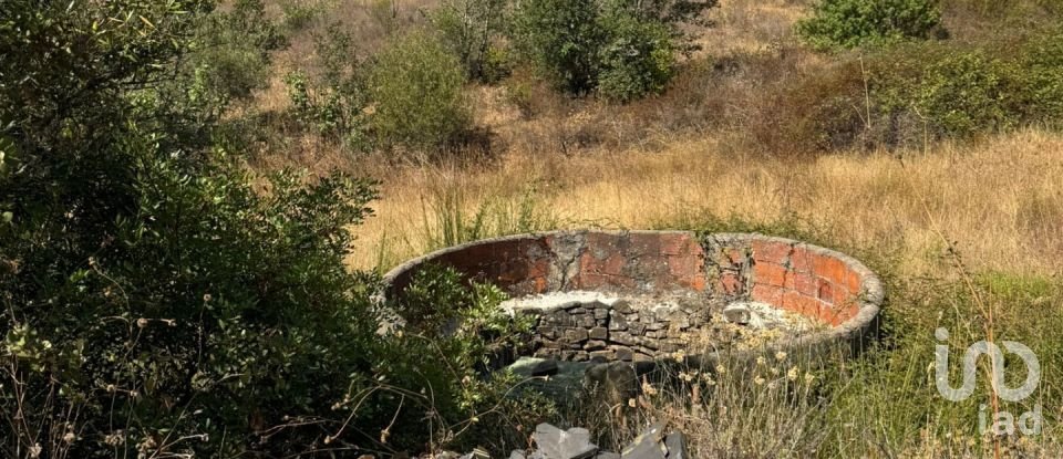 Maison rustique T2 à São Bartolomeu de Messines de 115 m²