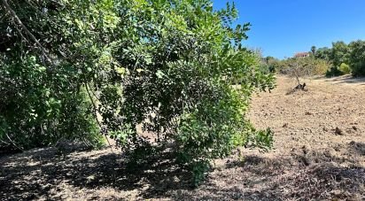 Terrain à Luz de Tavira e Santo Estêvão de 3 700 m²