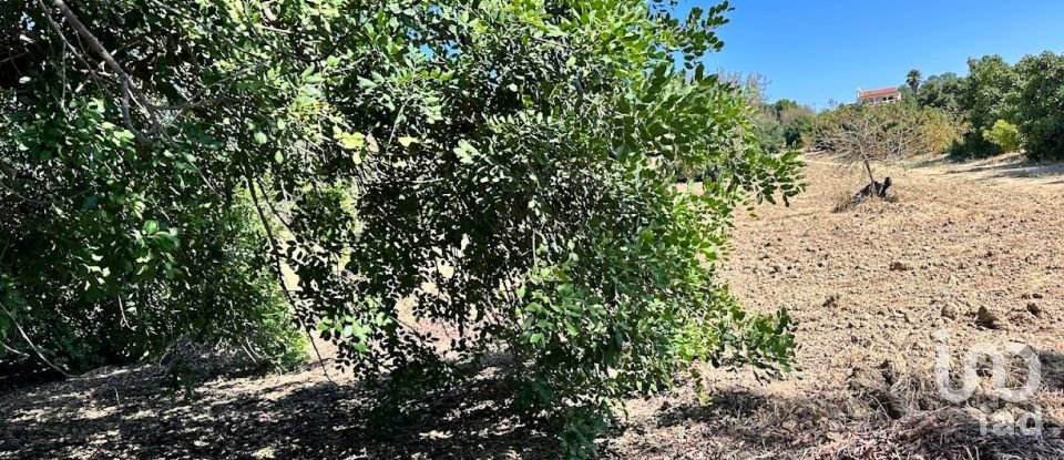 Terreno em Luz de Tavira e Santo Estêvão de 3 700 m²