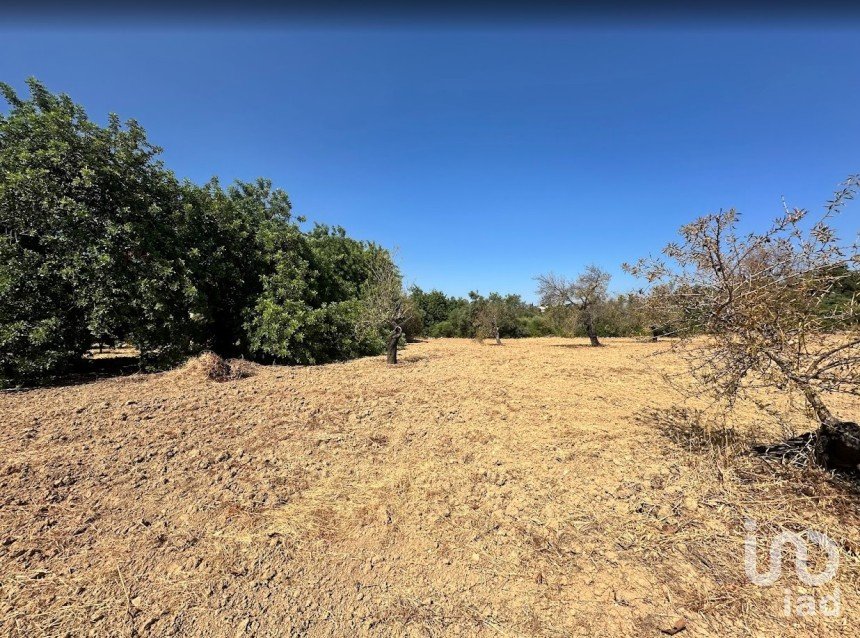 Terreno em Luz de Tavira e Santo Estêvão de 3 700 m²