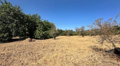 Terrain à Luz de Tavira e Santo Estêvão de 3 700 m²