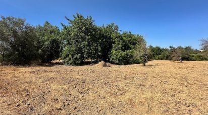 Terrain à Luz de Tavira e Santo Estêvão de 3 700 m²