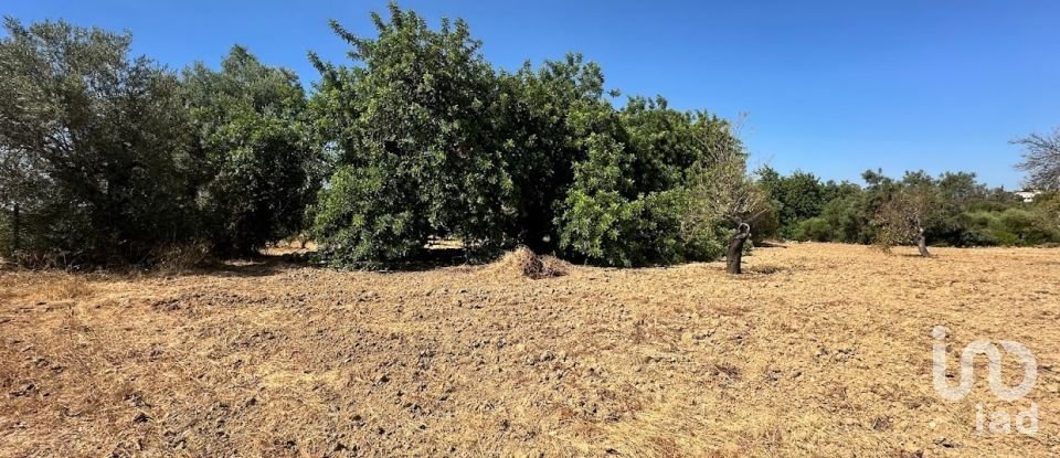Terreno em Luz de Tavira e Santo Estêvão de 3 700 m²