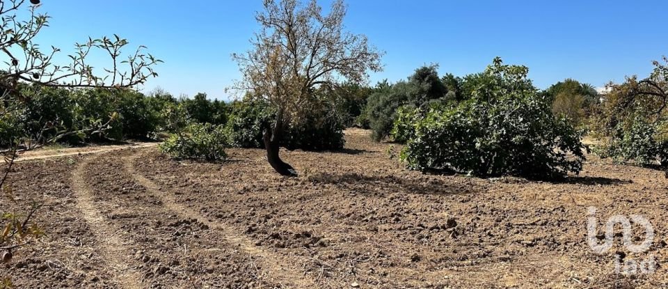 Terreno em Luz de Tavira e Santo Estêvão de 3 700 m²