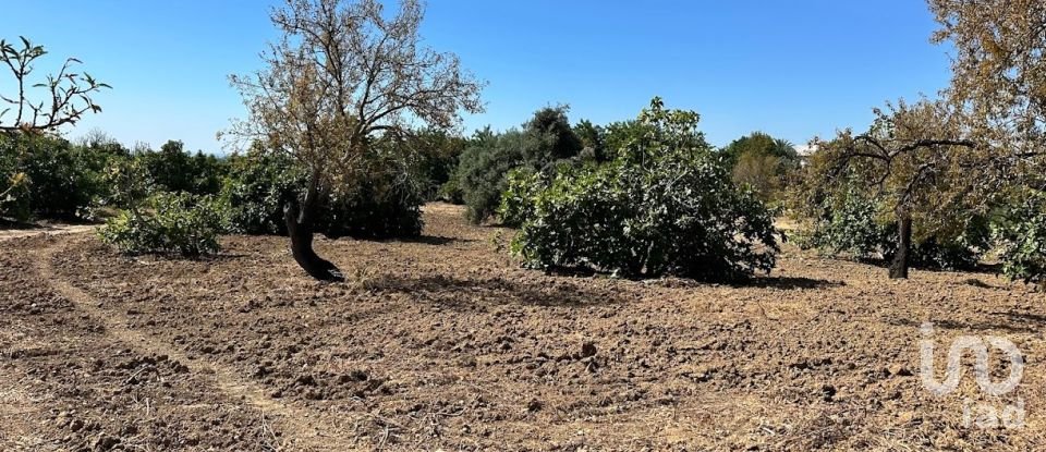 Terreno em Luz de Tavira e Santo Estêvão de 3 700 m²