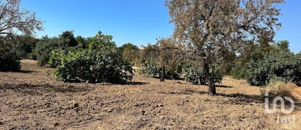 Terreno em Luz de Tavira e Santo Estêvão de 3 700 m²