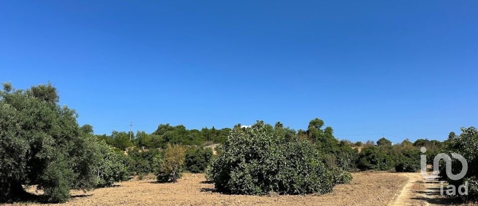 Terreno em Luz de Tavira e Santo Estêvão de 3 700 m²
