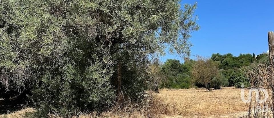 Terreno em Luz de Tavira e Santo Estêvão de 3 700 m²