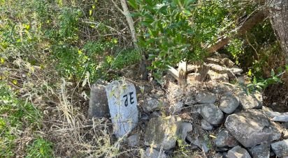 Terrain à Luz de Tavira e Santo Estêvão de 5 570 m²