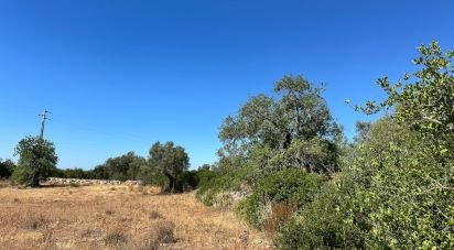 Terrain à Luz de Tavira e Santo Estêvão de 5 570 m²