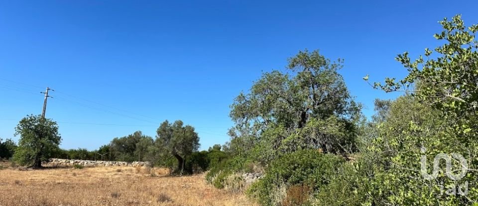 Terrain à Luz de Tavira e Santo Estêvão de 5 570 m²