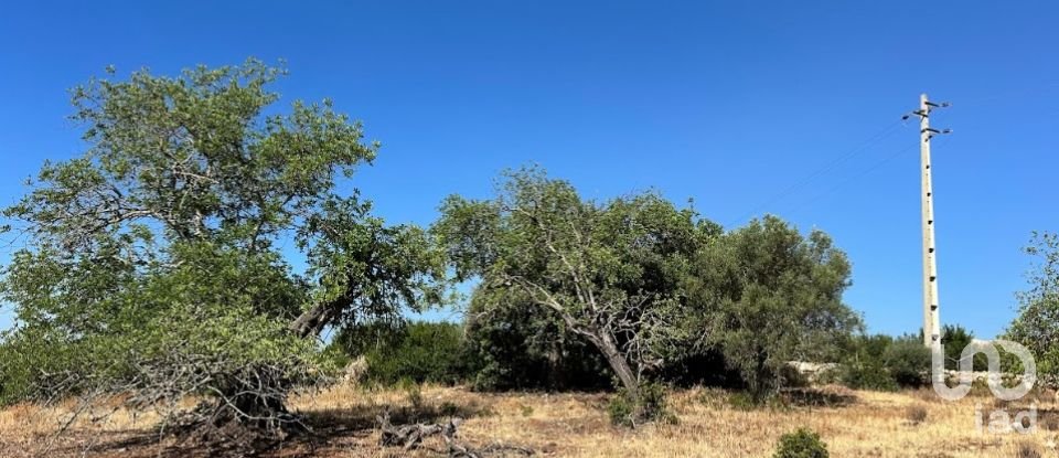 Terrain à Luz de Tavira e Santo Estêvão de 5 570 m²