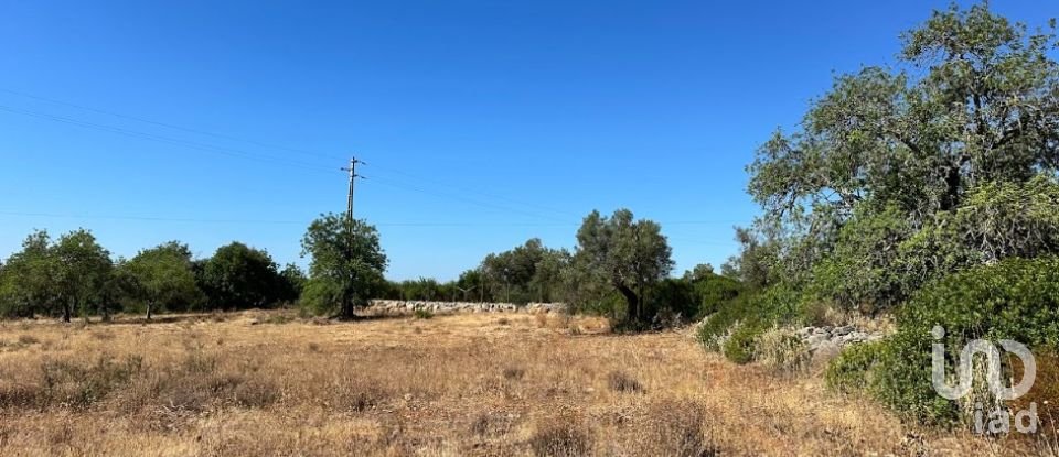 Terrain à Luz de Tavira e Santo Estêvão de 5 570 m²