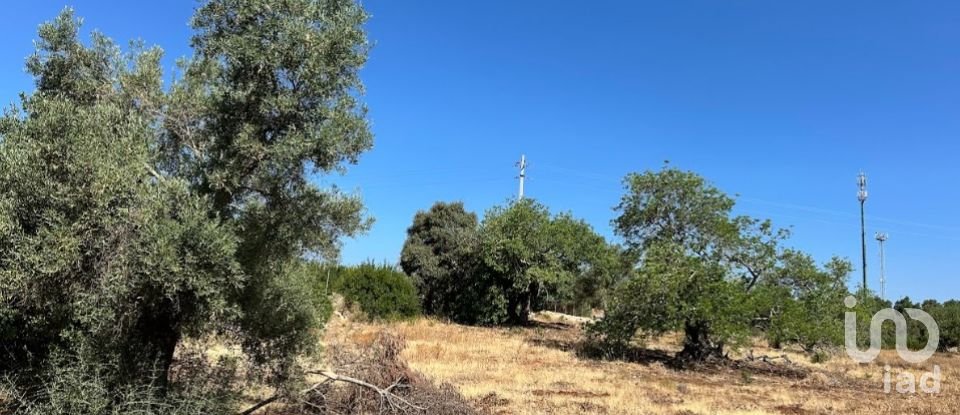 Terrain à Luz de Tavira e Santo Estêvão de 5 570 m²