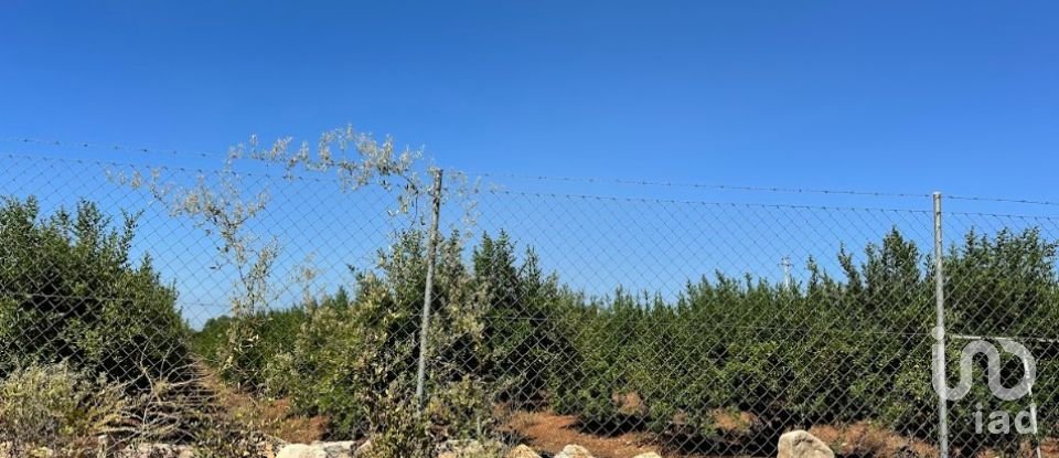 Terrain à Luz de Tavira e Santo Estêvão de 5 570 m²