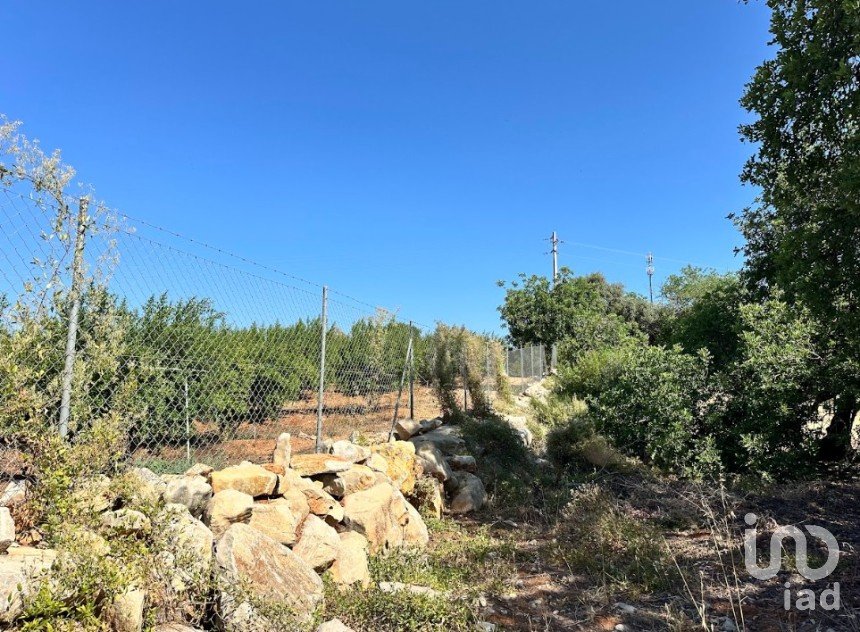 Terrain à Luz de Tavira e Santo Estêvão de 5 570 m²