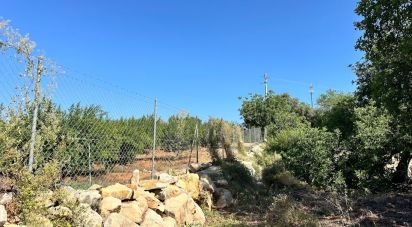 Terrain à Luz de Tavira e Santo Estêvão de 5 570 m²