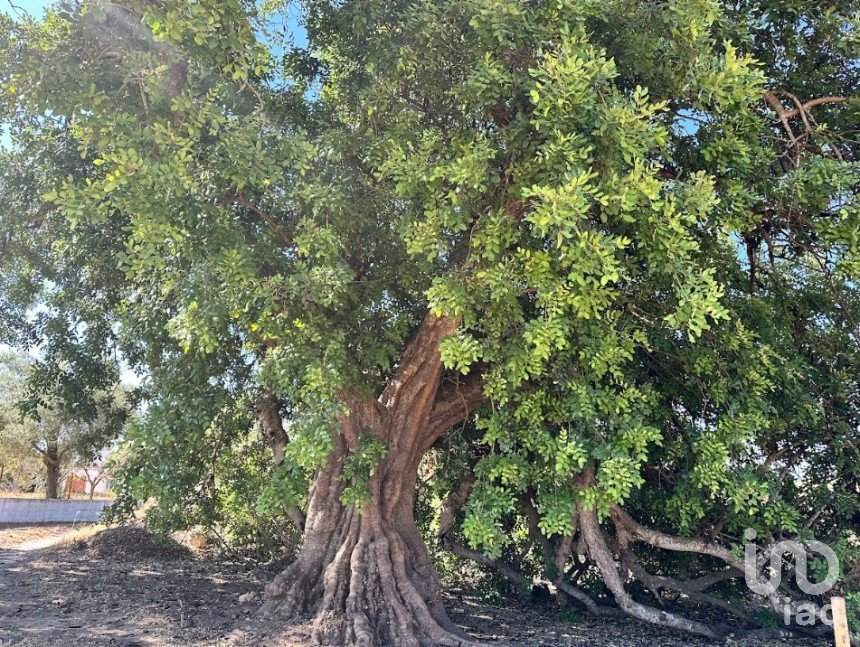 Terreno em Luz de Tavira e Santo Estêvão de 6 820 m²