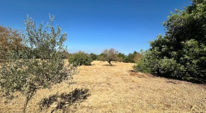 Terrain à Luz de Tavira e Santo Estêvão de 6 820 m²