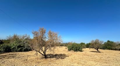 Terrain à Luz de Tavira e Santo Estêvão de 6 820 m²
