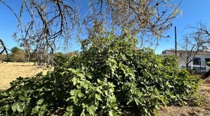 Terrain à Luz de Tavira e Santo Estêvão de 6 820 m²