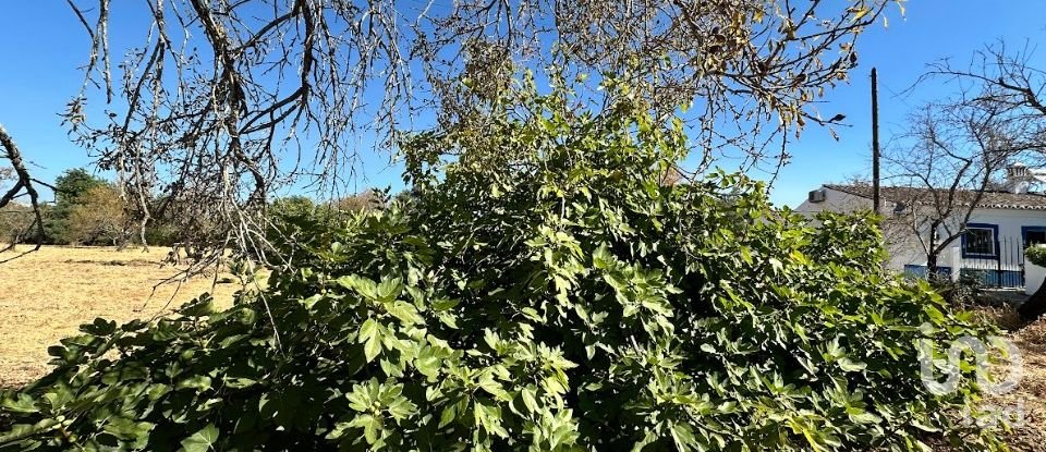 Terreno em Luz de Tavira e Santo Estêvão de 6 820 m²