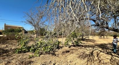 Terrain à Luz de Tavira e Santo Estêvão de 6 820 m²